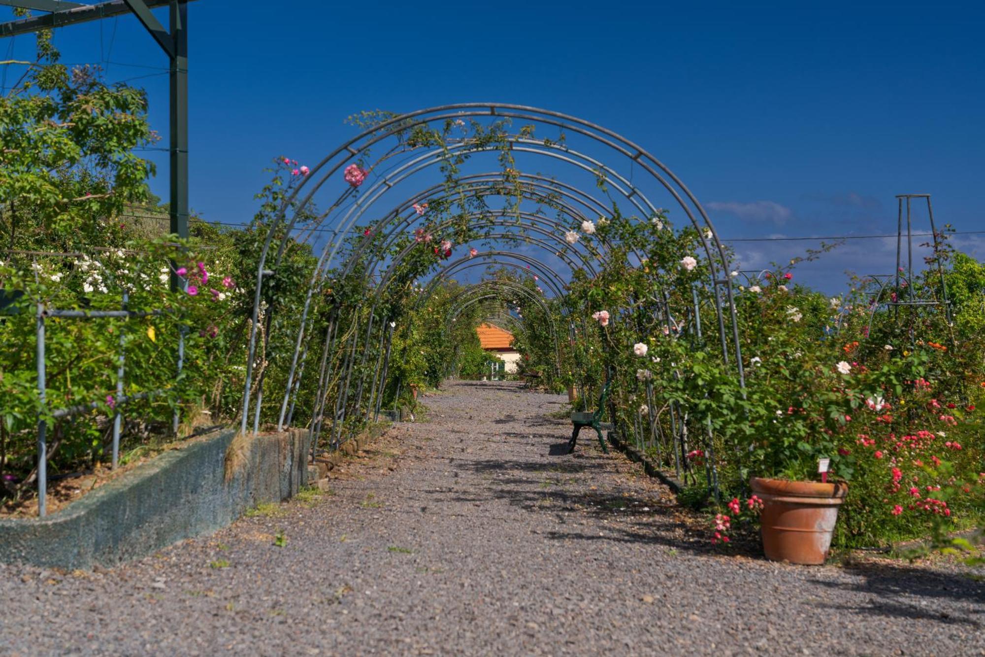 Arco de São Jorge Pestana Quinta Do Arco Nature & Rose Garden Hotel מראה חיצוני תמונה