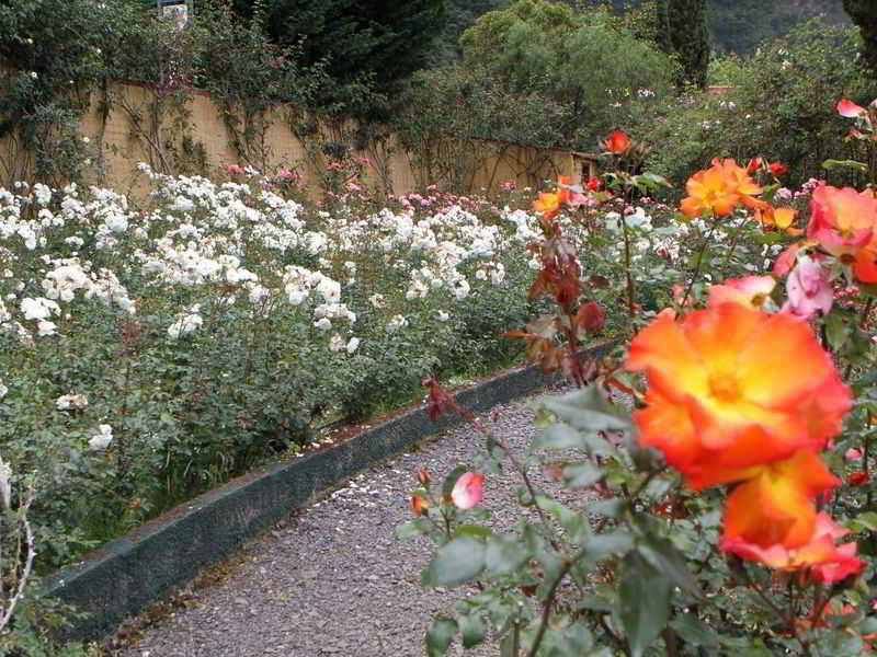 Arco de São Jorge Pestana Quinta Do Arco Nature & Rose Garden Hotel מראה חיצוני תמונה