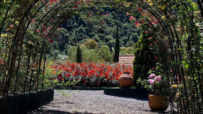 Arco de São Jorge Pestana Quinta Do Arco Nature & Rose Garden Hotel מראה חיצוני תמונה